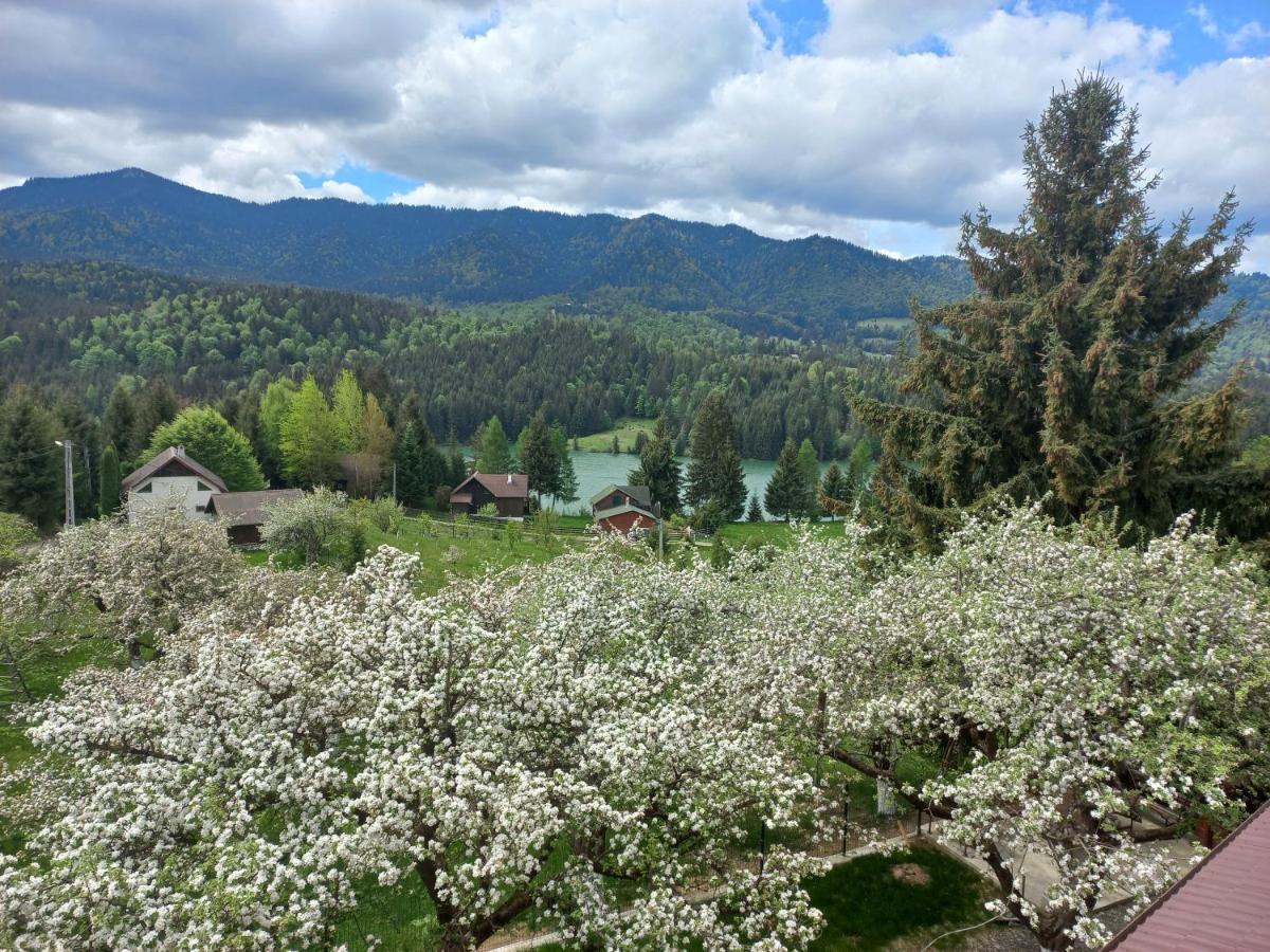 Casa De Vacanta Perla Colibitei Colibiţa Zewnętrze zdjęcie